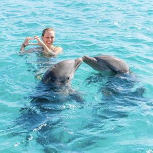 Honeymoon - Swim with Dolphins
