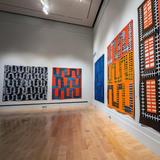 International Quilt Museum