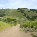 Madonna Mountain (Cerro San Luis Trail)
