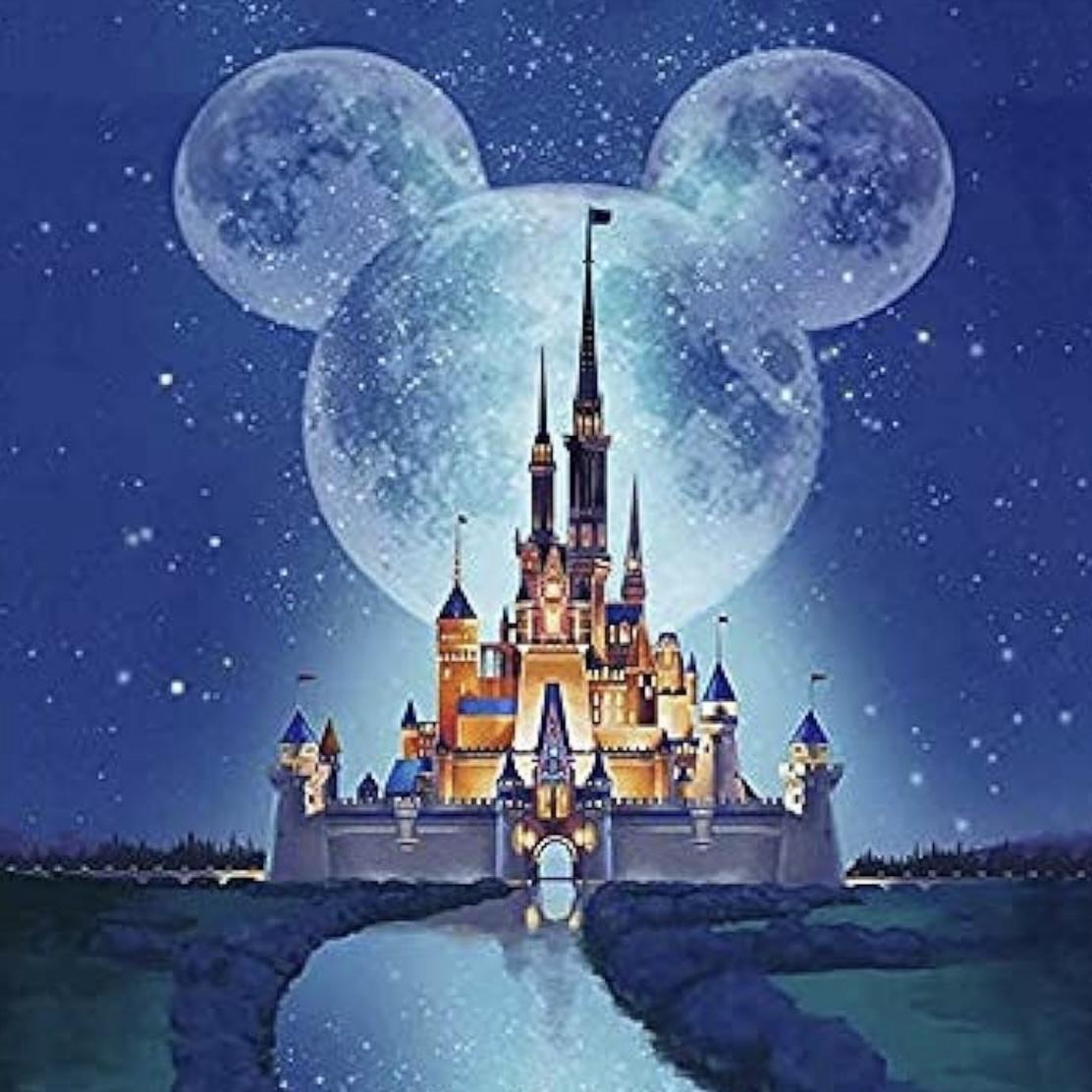 Honeymoon to Disney!