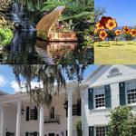 Botanical Gardens