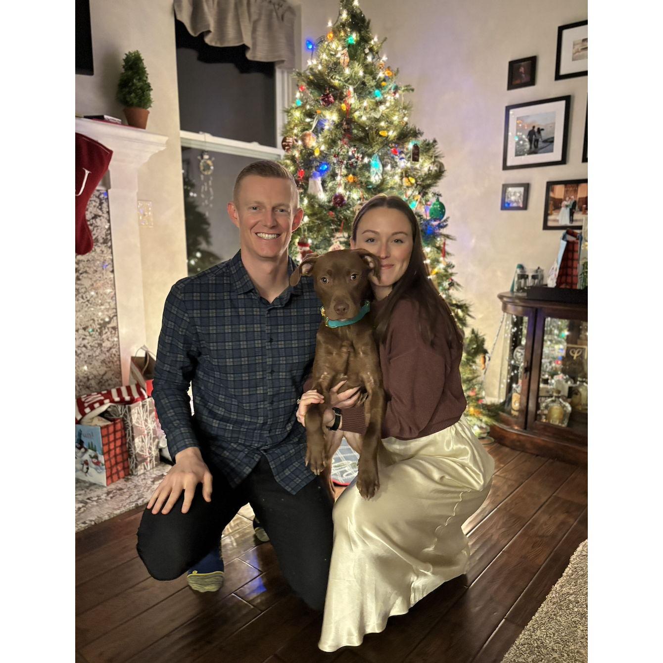 Billie's first Christmas (2024) - Brighton, MI