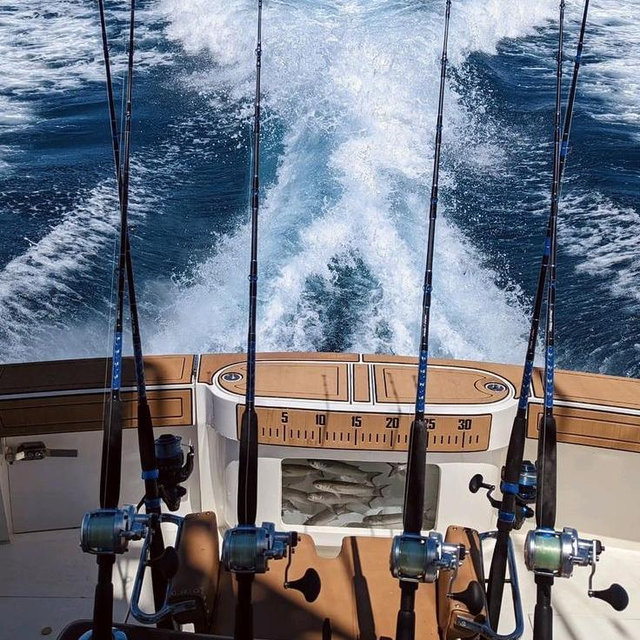 The gift of an adventure 🎣 Charter fishing in the FL Keys