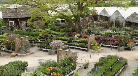 The Wedding Website of Katherine Dranoff and Jose Rivera