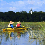 Kayak Amelia