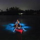 bioluminescent bay puerto rico