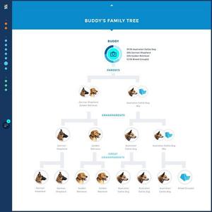 WISDOM PANEL DOG DNA TESTING KIT