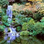Portland Japanese Garden