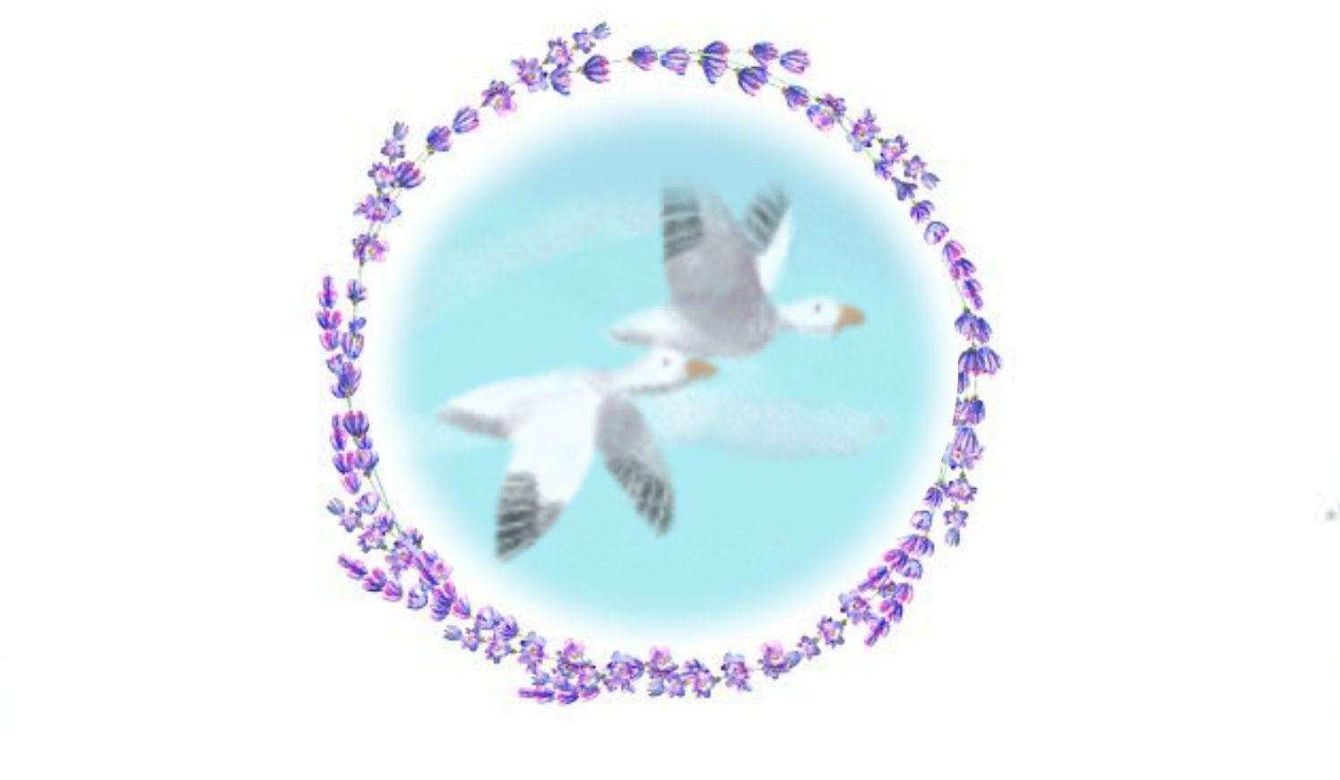 Footer image