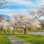 Branch Brook Park