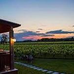 Macari Vineyards