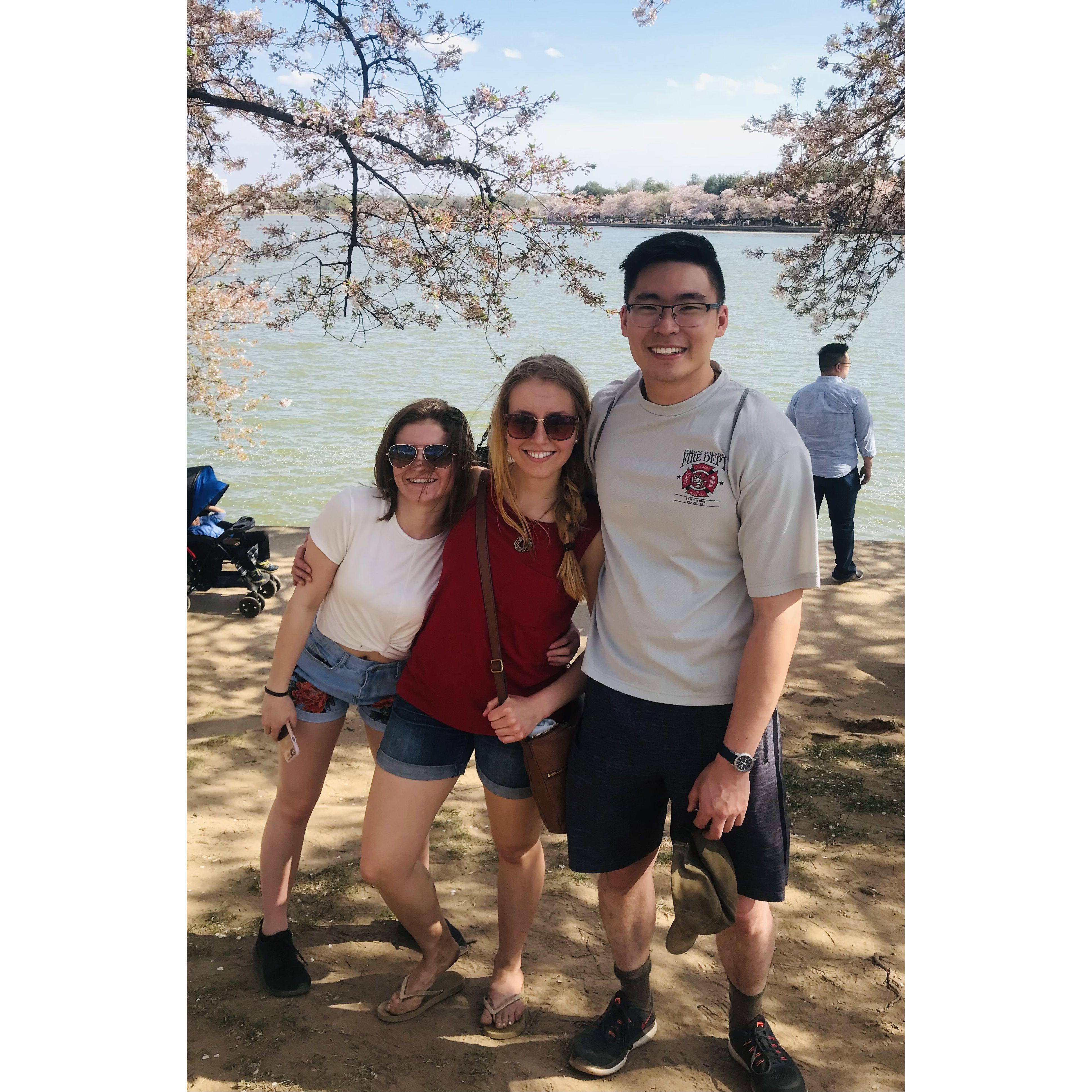 Study group friend group from PVCC (+Abigail's little sister Audrey) to see the cherry blossoms
(spring break, 2018)
