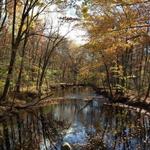 Sleeping Giant State Park