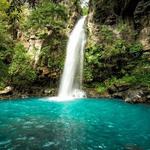 El Yunque National Forest