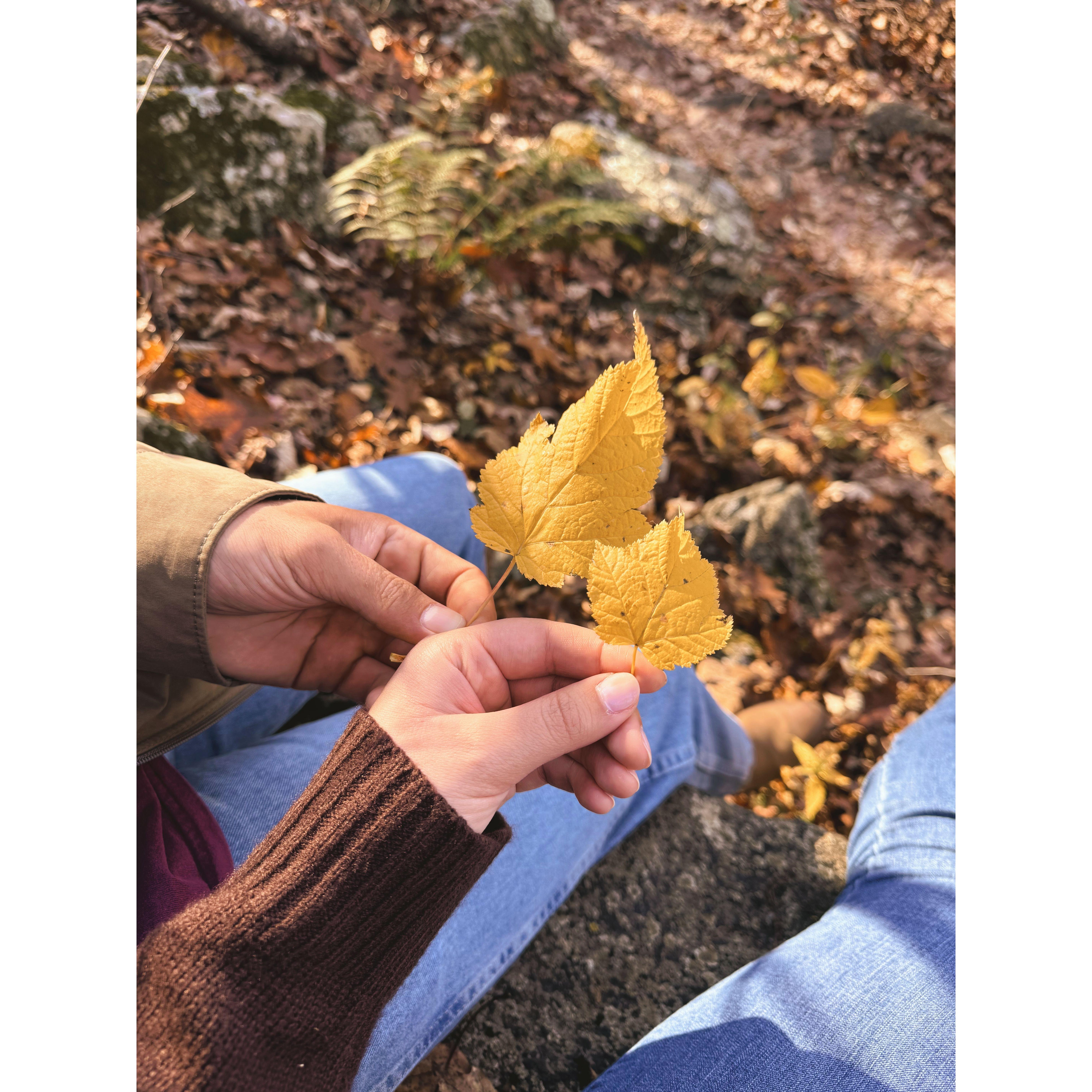 The fall season is when we first started falling in love.