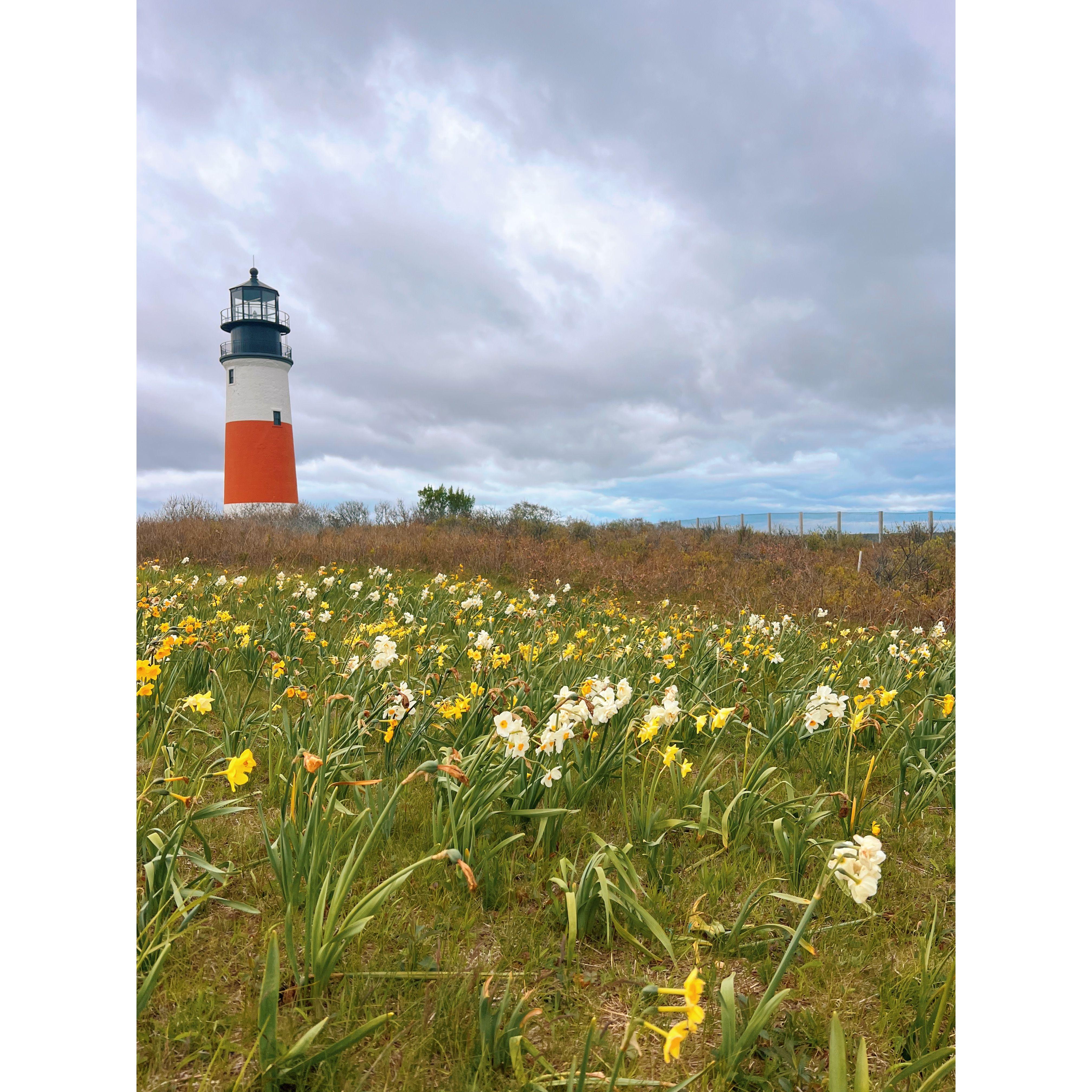 Our Engagement at Sankaty Head Lighthouse on Nantucket.
