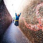 Bubblegum Alley