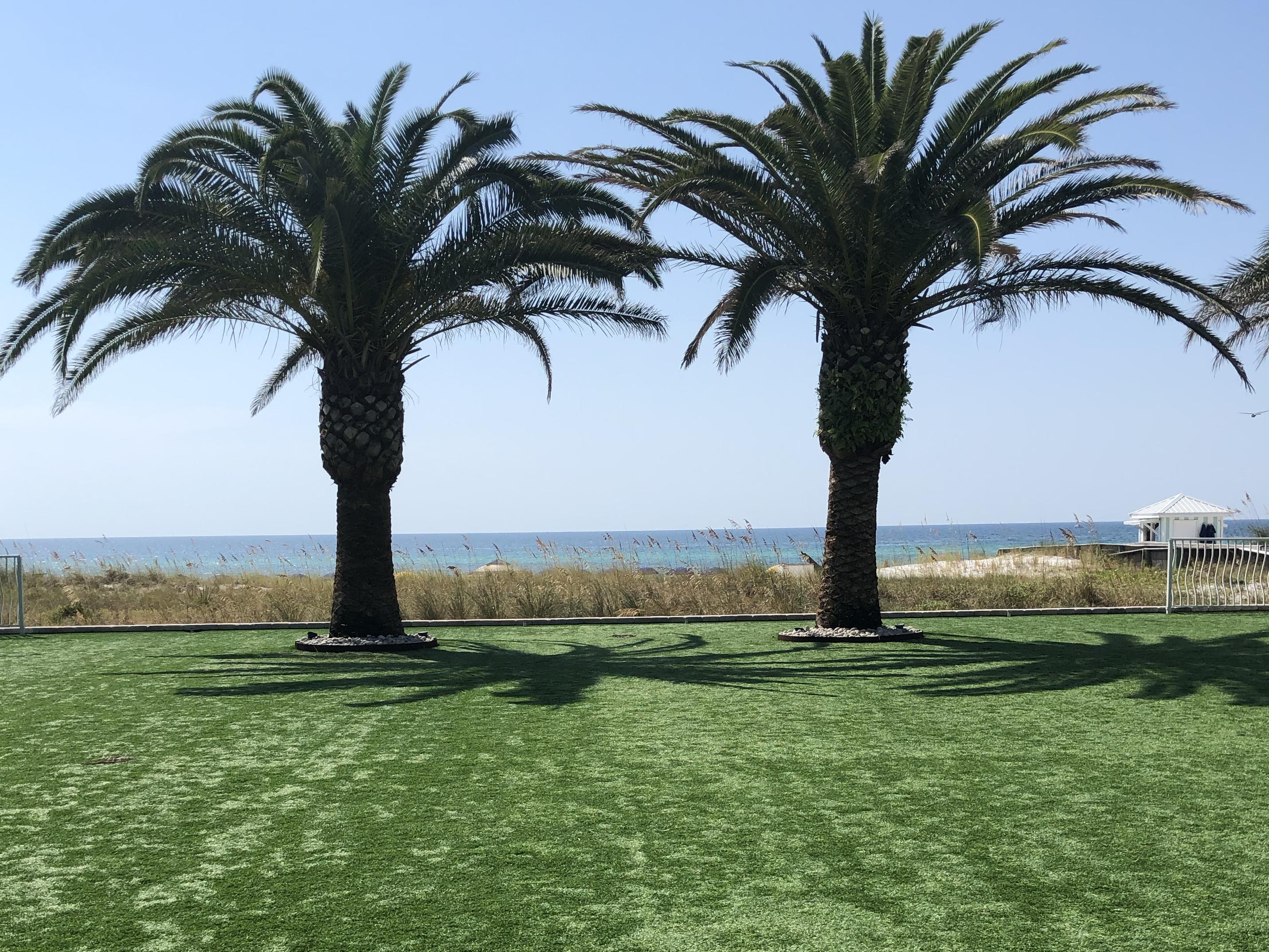 The Wedding Website of Cambrai Berezo and Deon Smith