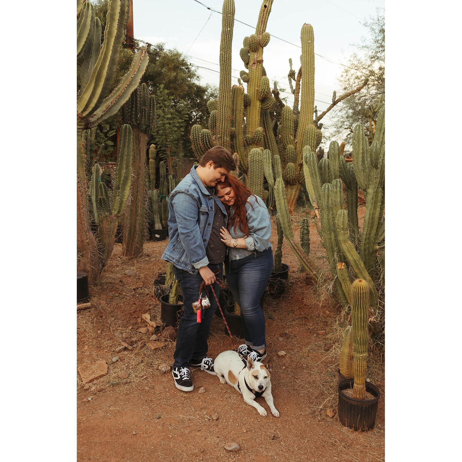 Fall Cactus Photos - October 17th, 2021