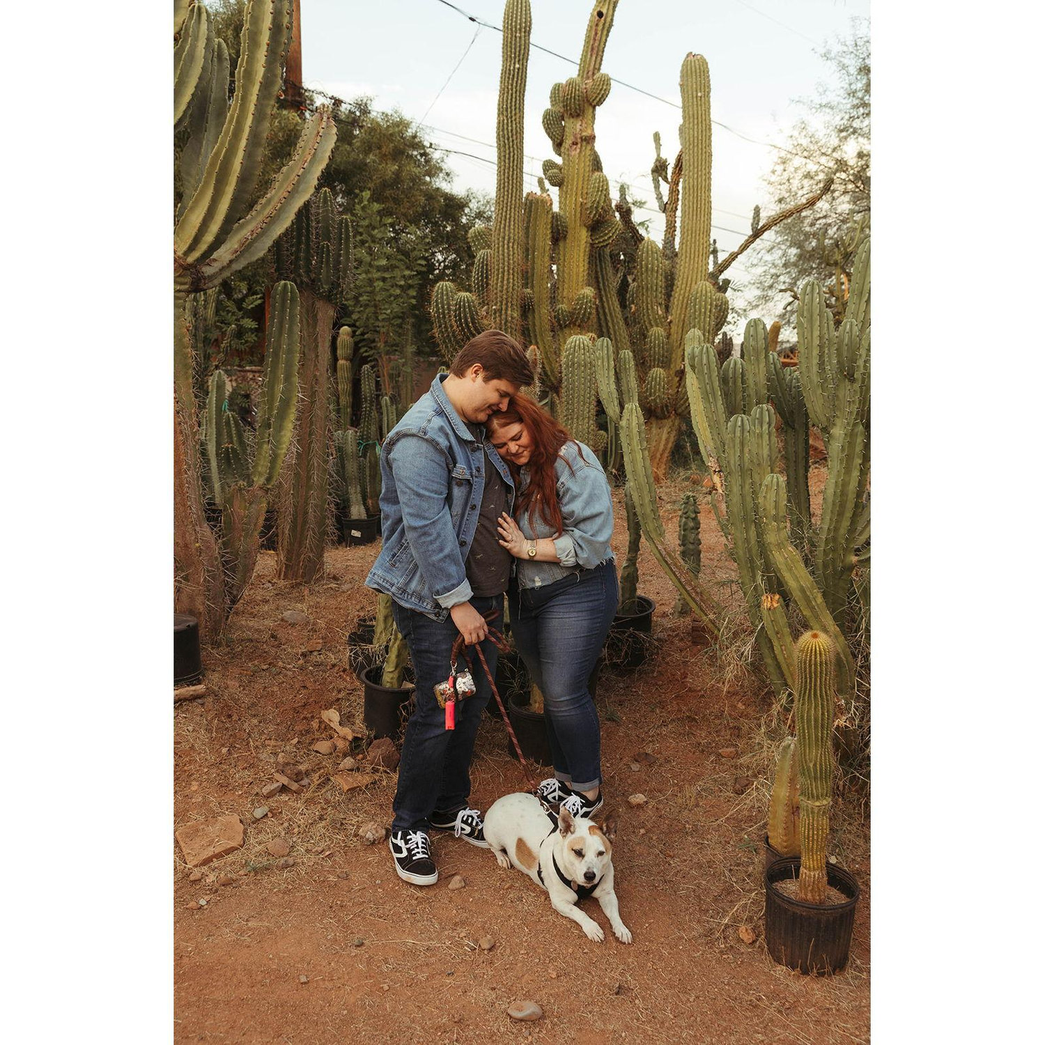 Fall Cactus Photos - October 17th, 2021
