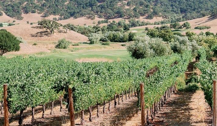 The Wedding Website of Julissa Mendez and Shivansh Sachdeva