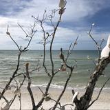 Tigertail Beach