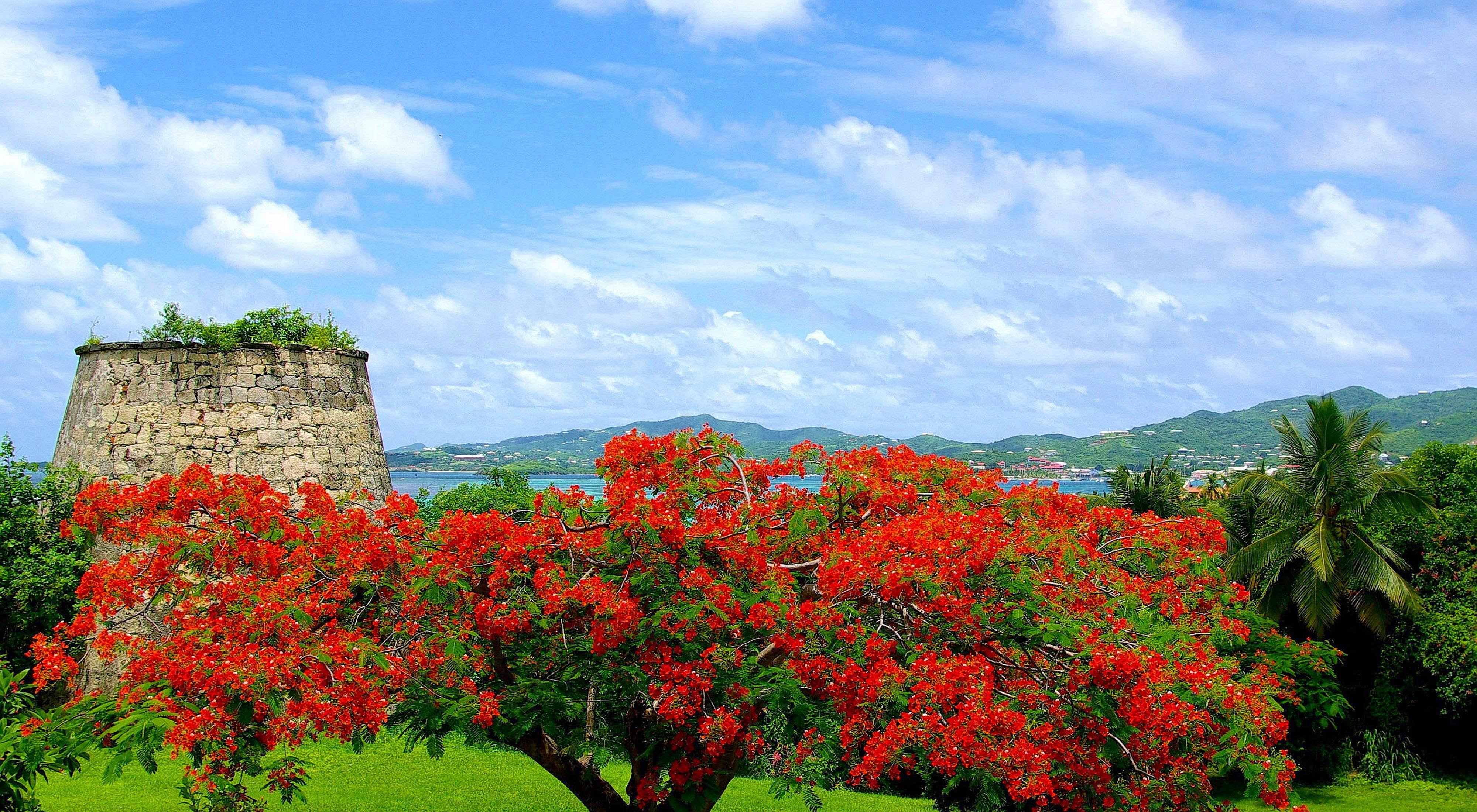 The Wedding Website of Curtis Victor and Denise Caesar