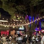 Hang out in Provenza
