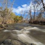 Warren Wilson River Trail