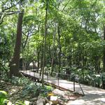 Jardín Botánico