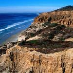 Torrey Pines State Reserve