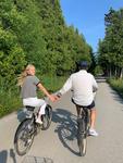 Bike Rentals