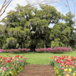 Airlie Gardens