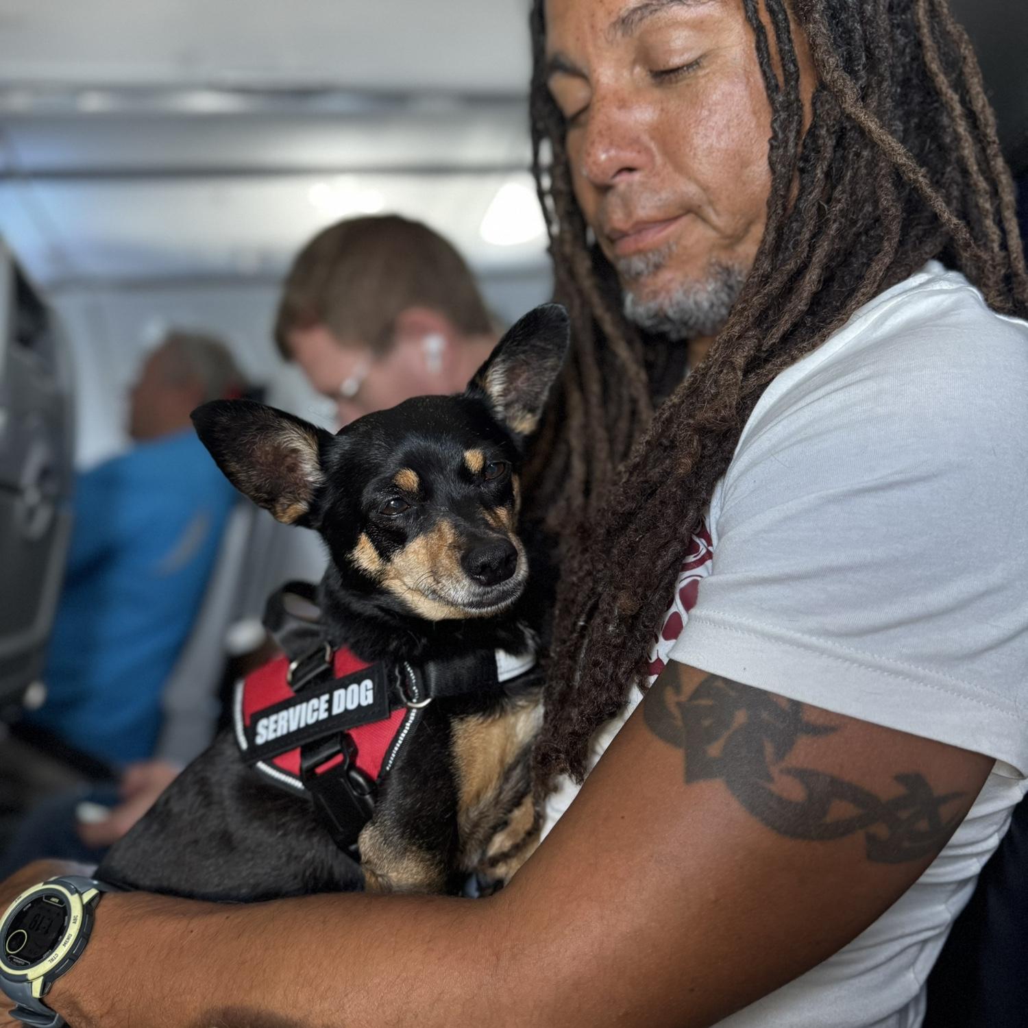 The best DogDad Hennessy could ever ask for. It warms my heart watching him protect her.