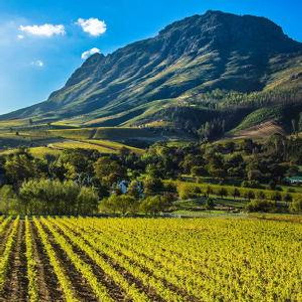 Stay at Winelands
