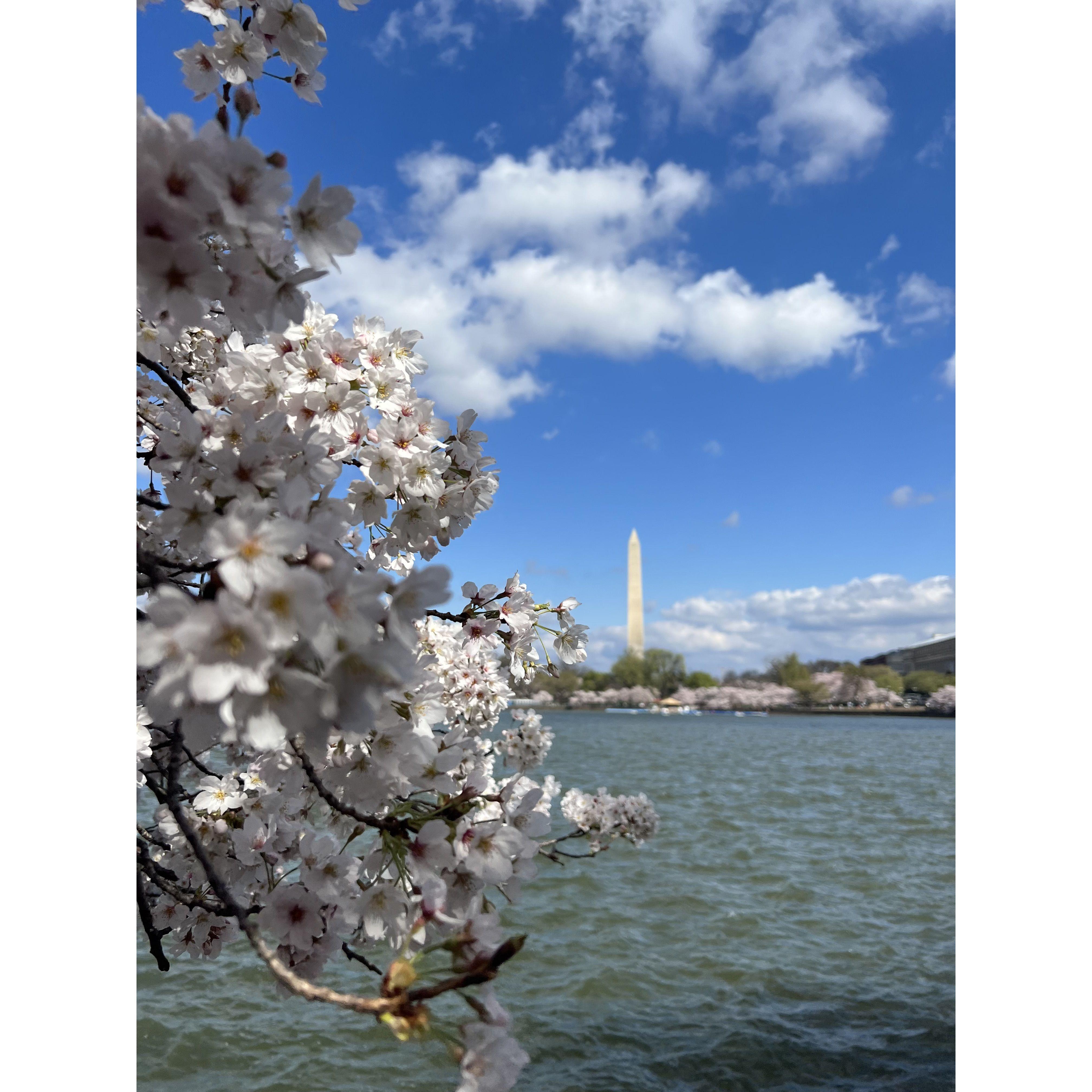 Moved to DC in 2023! Washington, DC.
