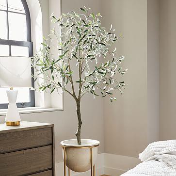 Faux Potted Green Olive Tree - 6'