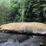 Saratoga Spa State Park