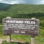 Graveyard Fields Loop Trail