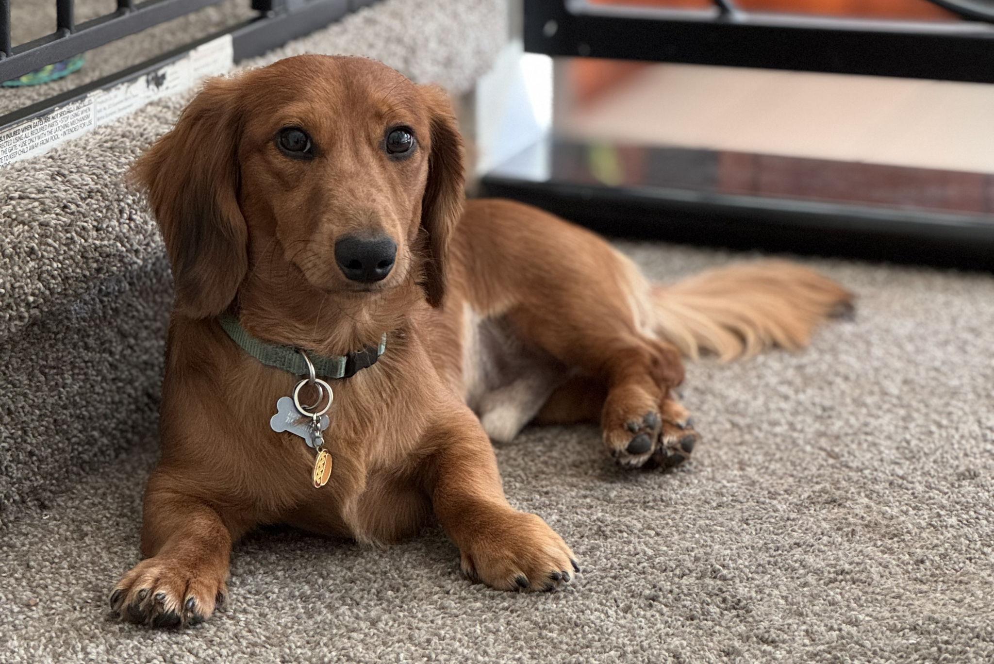 The Wedding Website of Riley Mills and Amy Salyards