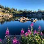 Lake Mary Trail
