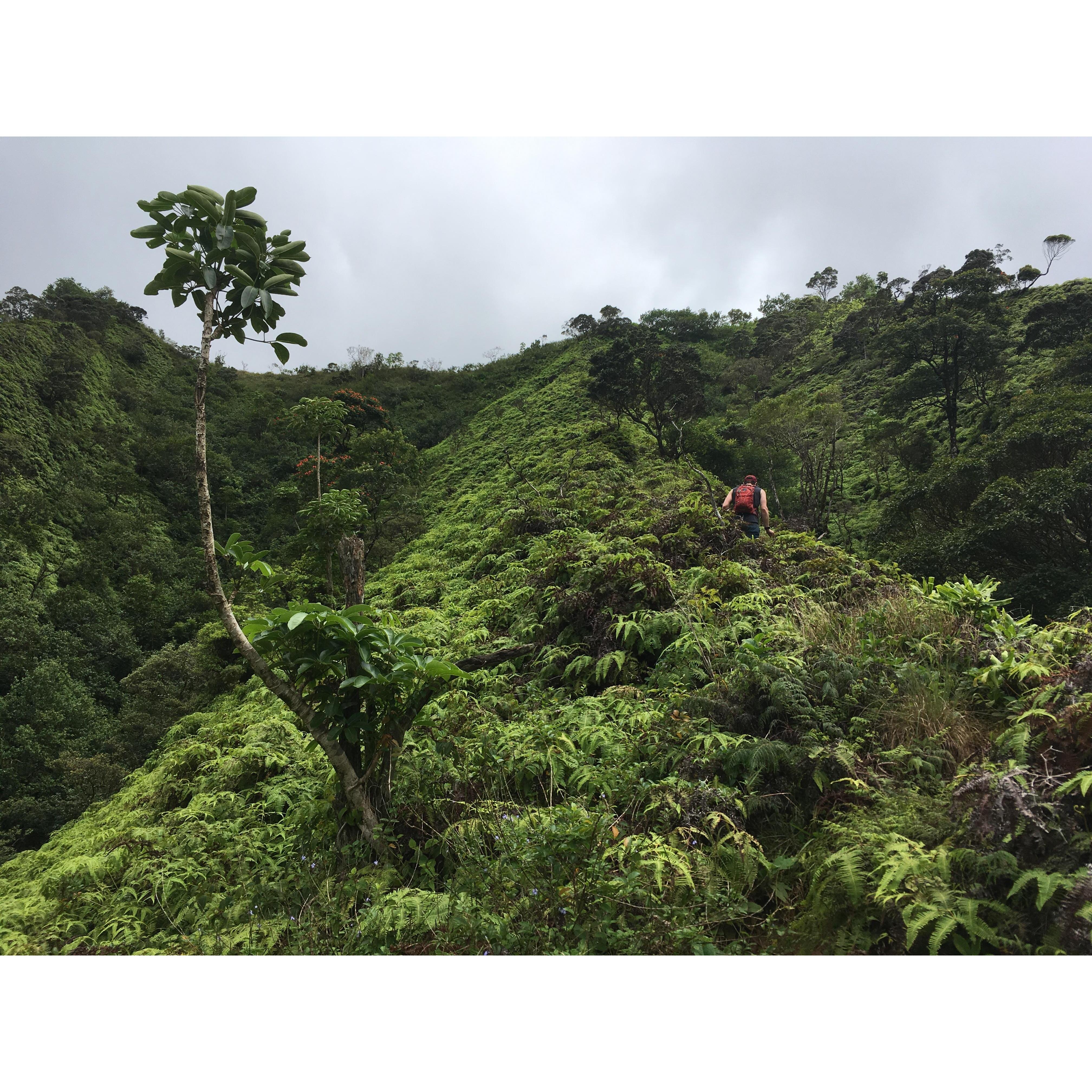 In Hawai'i we went on the craziest hike either of us had ever attempted, we'll never forget it!