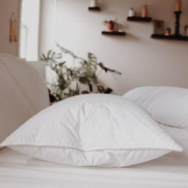 Down Dreams Classic Firm Pillow, Formerly Classic Too