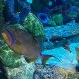Oklahoma Aquarium