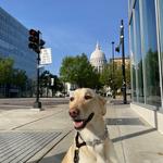 Wisconsin State Capitol and State Street