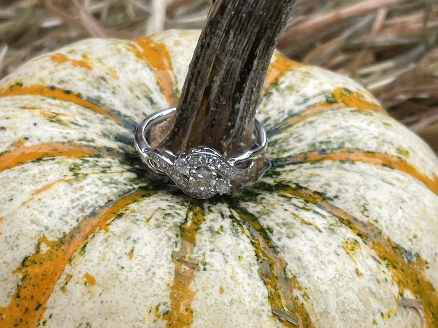 The Wedding Website of Austin Long and Elizabeth Eckenrode