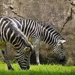 Milwaukee County Zoo