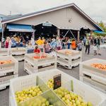 Olympia Farmers Market Pavilion