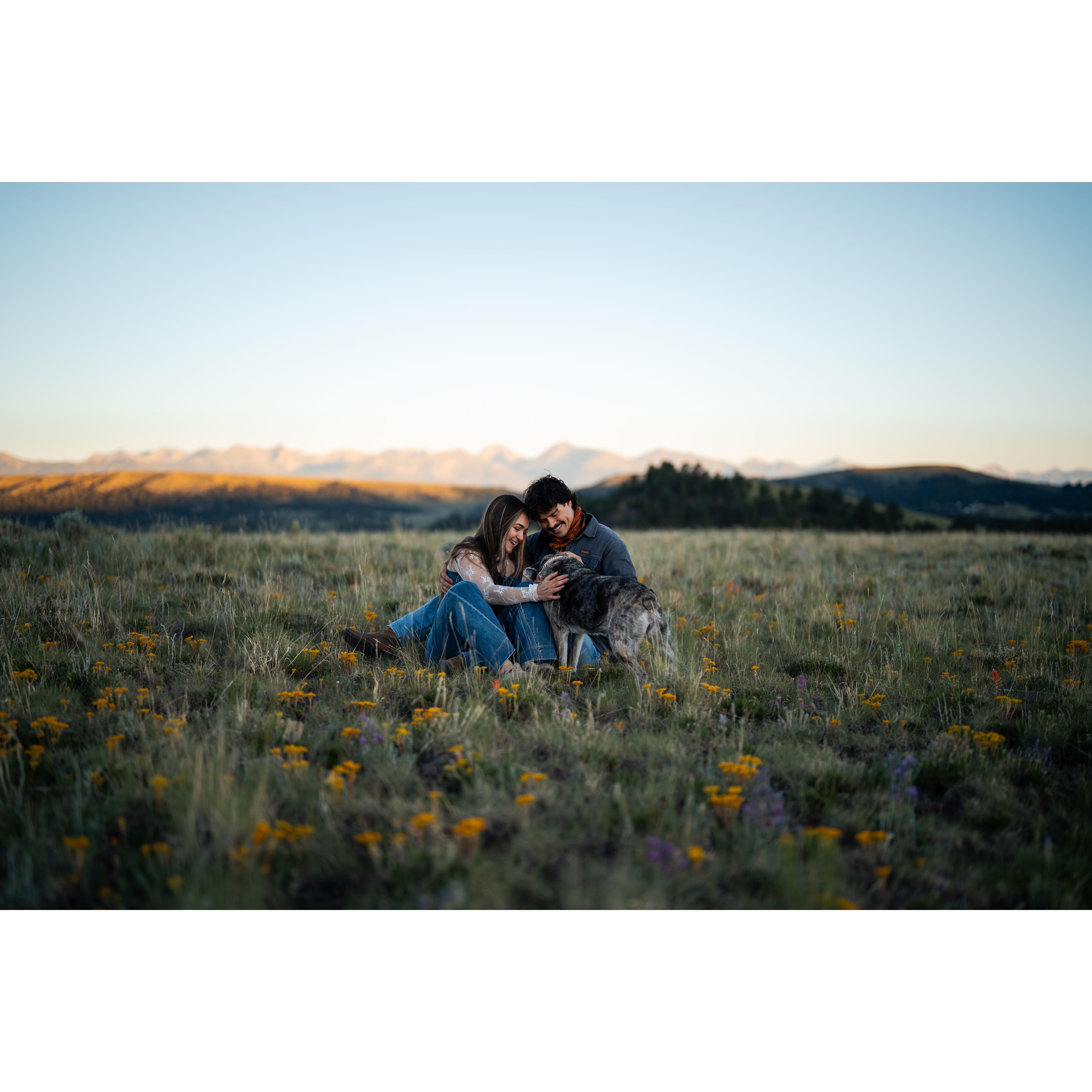 engagement photos!