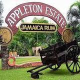 Appleton Estate Rum Tour + Pelican's Bar Excursion